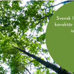 Svensk Isolering - nu startar vi en branschorganisation för mer hållbart byggande!